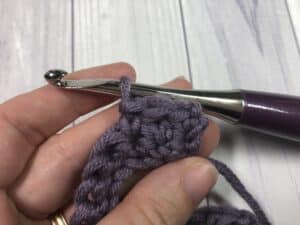 single crochet in the double crochet cluster
