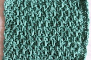 close up of the extended moss stitch