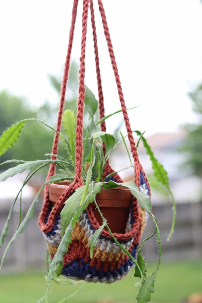 A plant hanging in the Easy Crochet Plant Hanger