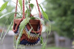 A colourful easy crochet plant hanger