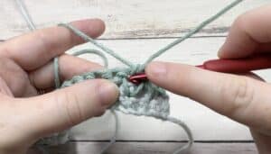 Insert your hook under the second loop at the front of the post on the previous stitch