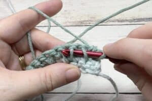 Insert your hook under the first loop at the front of the next spiked stitch post.